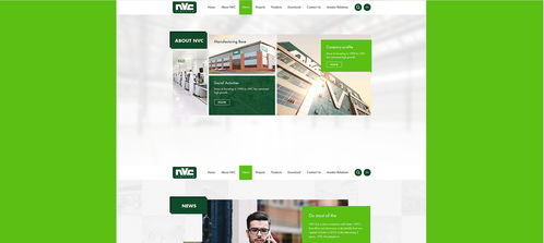 雷士光電官方網(wǎng)站建設(shè)項(xiàng)目 構(gòu)建專業(yè)數(shù)字門戶，照亮品牌未來